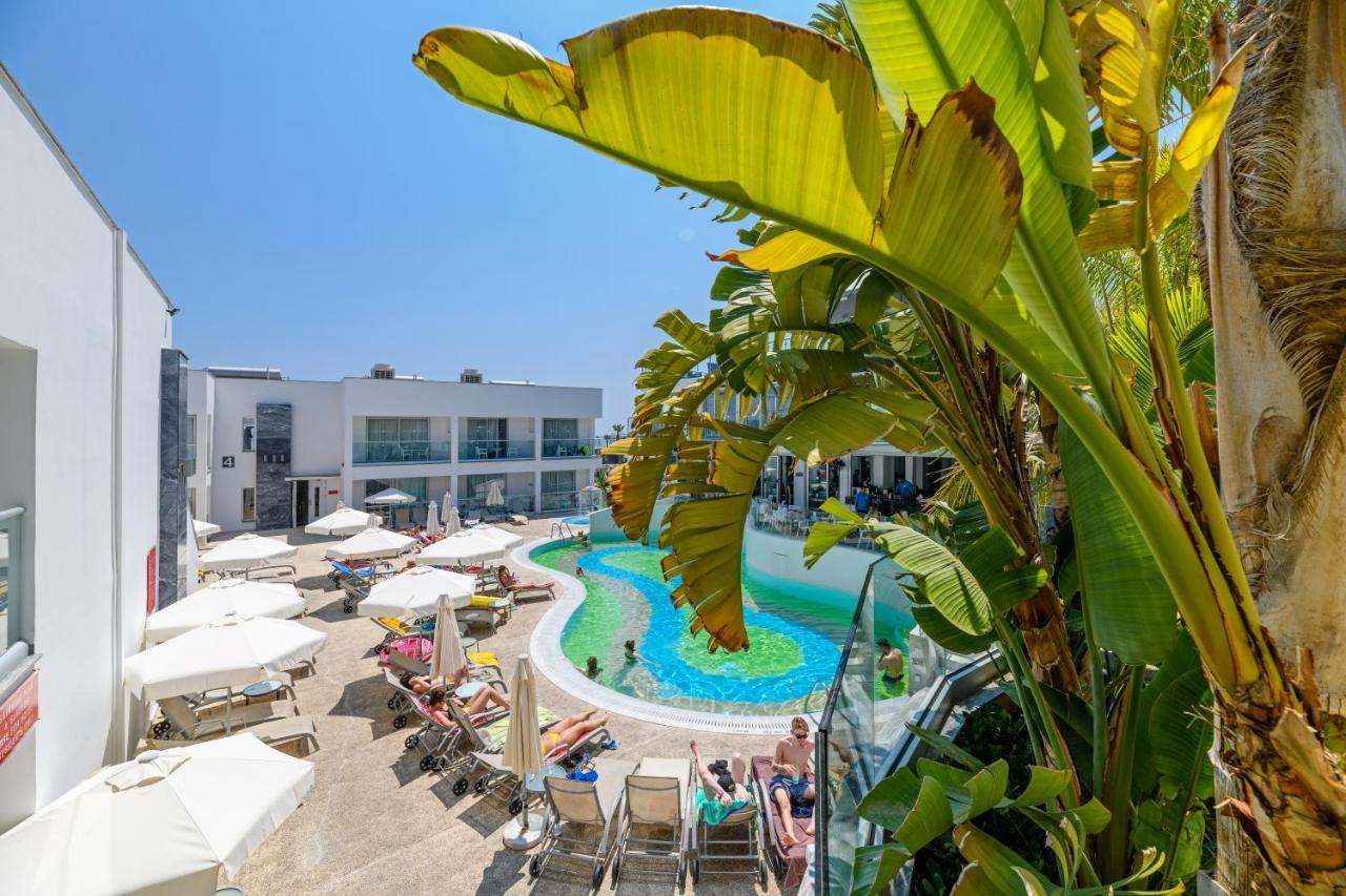 איה נאפה Tasia Maris Oasis מראה חיצוני תמונה